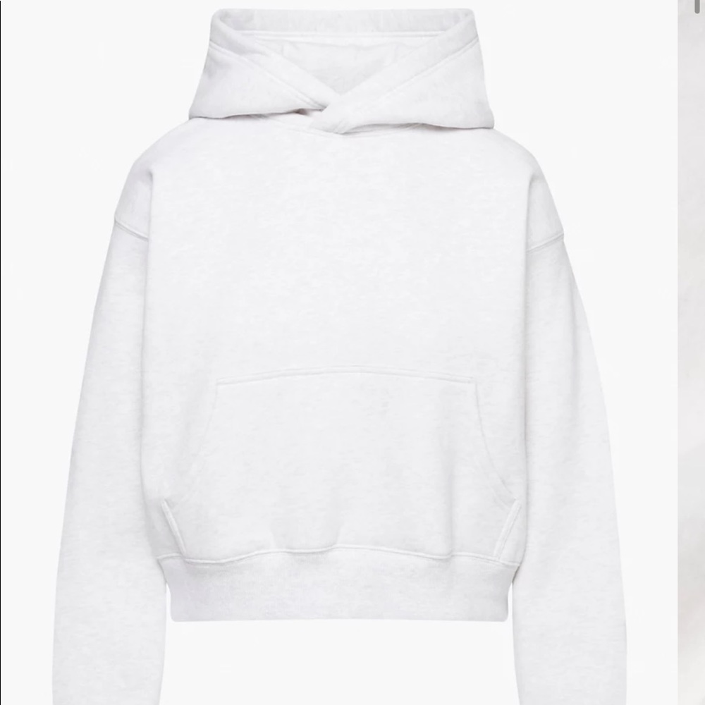 Aritzia TNA Cozy Fleece Shrunken Boyfriend Hoodie - Heather Cloud White, Small